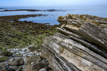 France, Pyrenees Atlantiques, Basque Country coast, Guéthary, the rocky coast, flysch rock