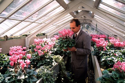France, Paris (75), jardin du Luxembourg, M. Le Hideux responsable des serres