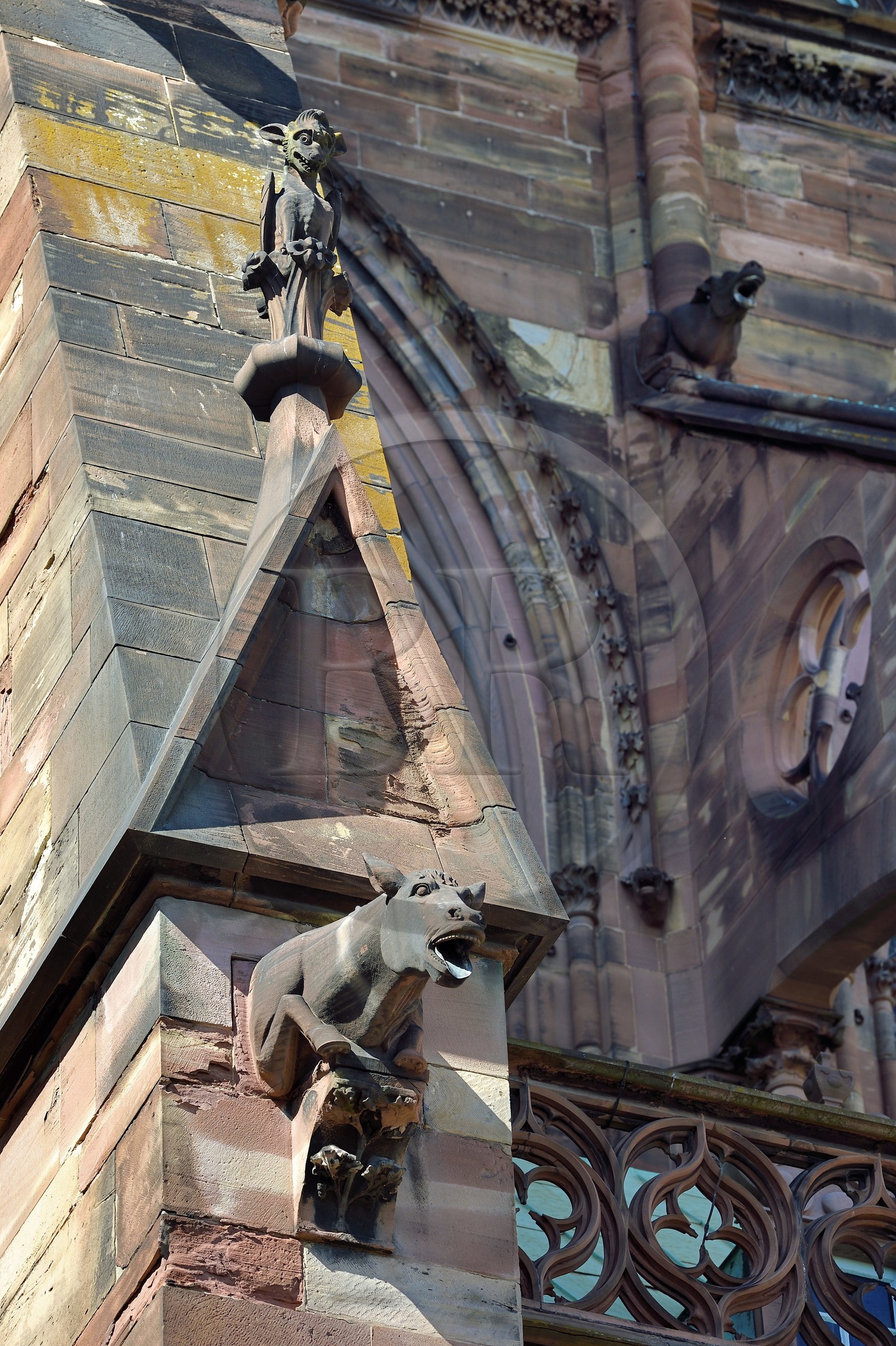 France, Bas-Rhin (67), Strasbourg, vieille ville classée au Patrimoine Mondial de l'UNESCO, la cathédrale Notre-Dame, facade sud, chimères et gargouilles sur un arc-boutant, cheval