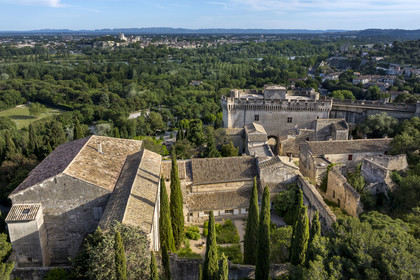 France, Gard, Villeneuve les Avignon, the former Benedictine abbey and the Saint Andre Fort, the Palais des Papes (Palace of the Popes) in Avignon classified as UNESCO World Heritage and the Alpilles mountain range in the background (aerial view)