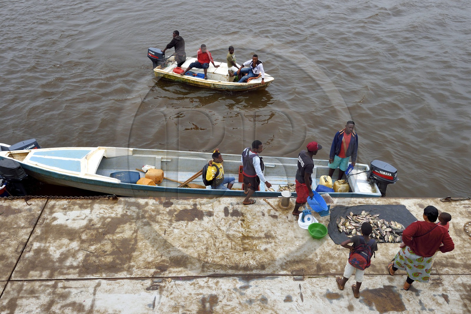 Gabon, Province du Moyen-Ogooué, le fleuve Ogooué, vente de poissons sur les pirogues au port de Lambaréné