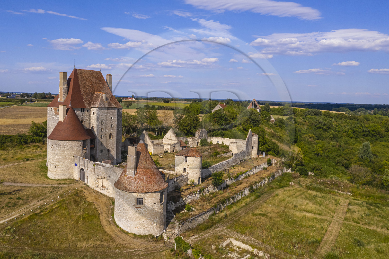 France, Allier (03), ancienne province du Bourbonnais, Besson, chateau de Fourchaud chateau de Fourchaud (XIVe siècle au XVIe siècle) appartenant aujourd'hui aux descendants des Bourbon-Parme (vue aérienne)