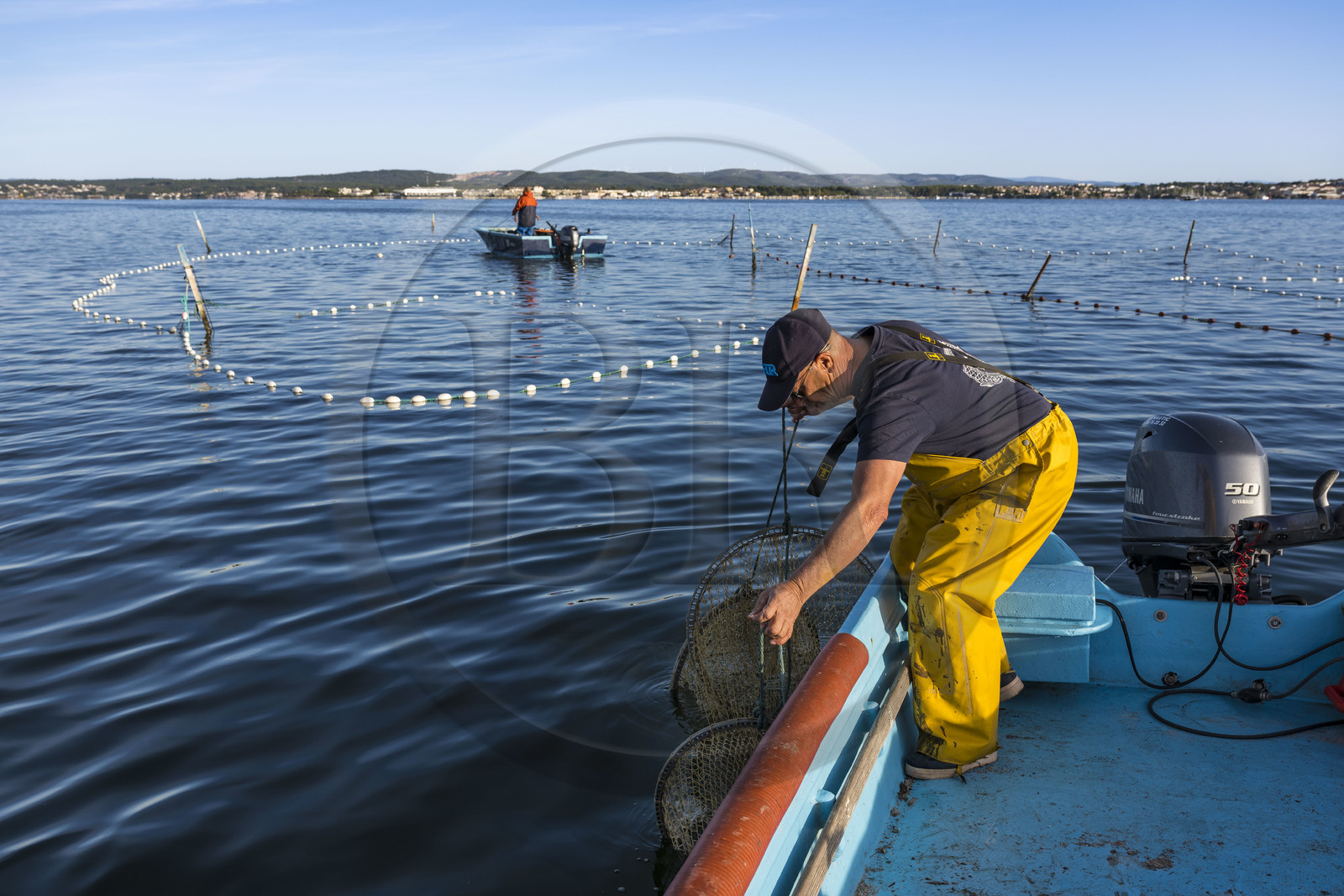 France, Hérault (34), Sète, quartier de la Pointe Courte, le pêcheur Robert Rumeau relève ses filets sur l'étang de Thau