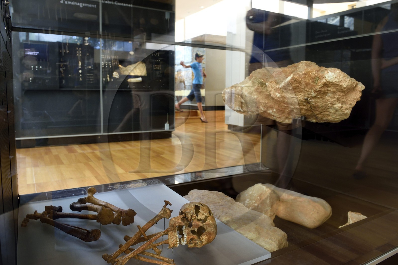 France, Dordogne (24), Périgord Noir, vallée de la Vézère, Les Eyzies-de-Tayac-Sireuil, site classé Patrimoine Mondial de l'UNESCO, Musée National de la Préhistoire, la sépulture de Saint-Germain-La-Rivière datant du Magdalénien moyen (autour de 16000 ans BP)