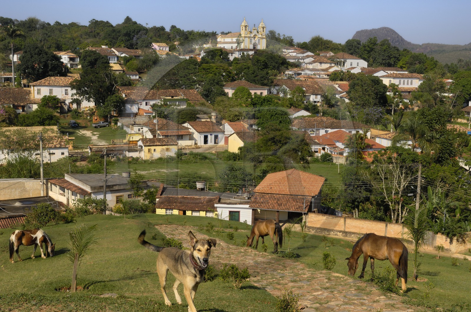 Brésil, Etat du Minas Gerais, Tirandentes, Matriz de Santo Antonio, église Saint-Antoine (Route de l'or, Estrada Real)