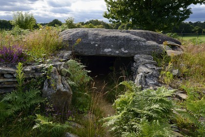 France, Morbihan (56), Colpo, Dolmen de Larcuste