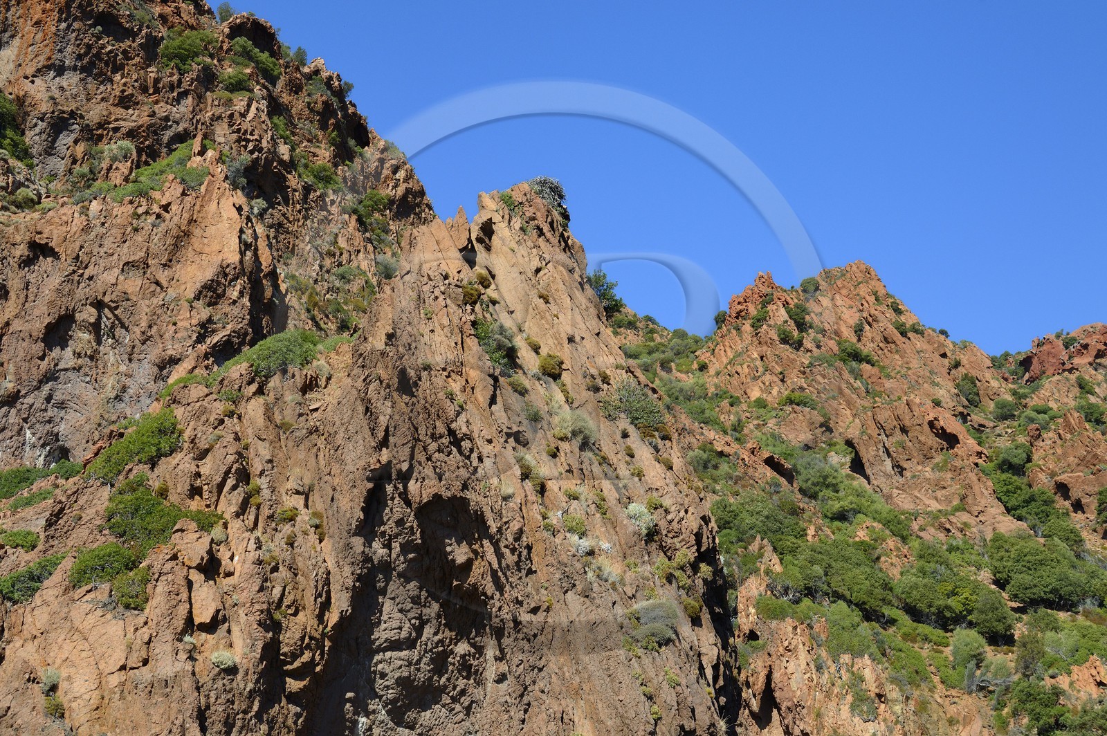 France, Corse-du-Sud (2A), Golfe de Girolata, classé Patrimoine Mondial de l'UNESCO, Réserve naturelle de la presqu'île de Scandola