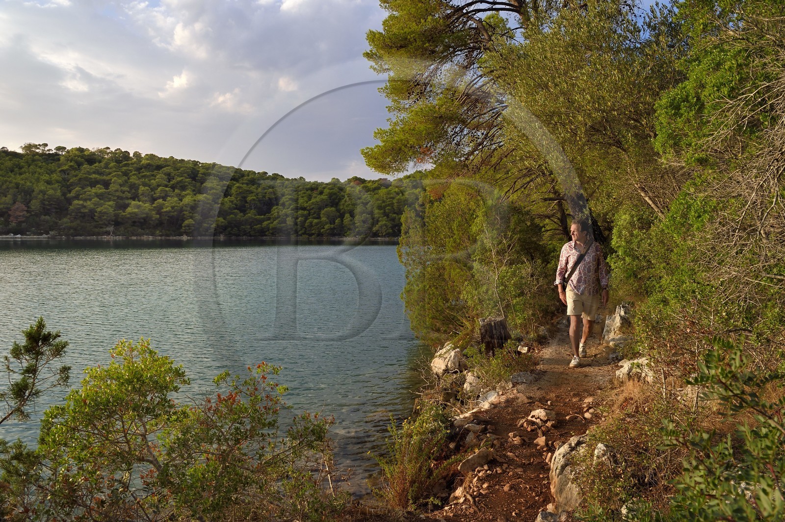 Croatia, Dalmatia, Dalmatian coast, Island of Mljet, National Park of Mljet, the small lake