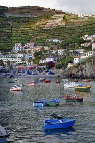 Portugal, Madeira Island, port of the fishing village of Camara de Lobos