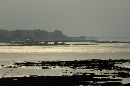 France, Charente-Maritime (17), Ile Madame