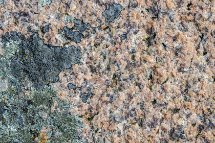 France, Côtes-d'Armor (22), Côte de Granit Rose, Trébeurden, Ile Millau, échantillon de granit à gros grain qui se compose de quartz, de mica et de feldspath qui donne la couleur rose