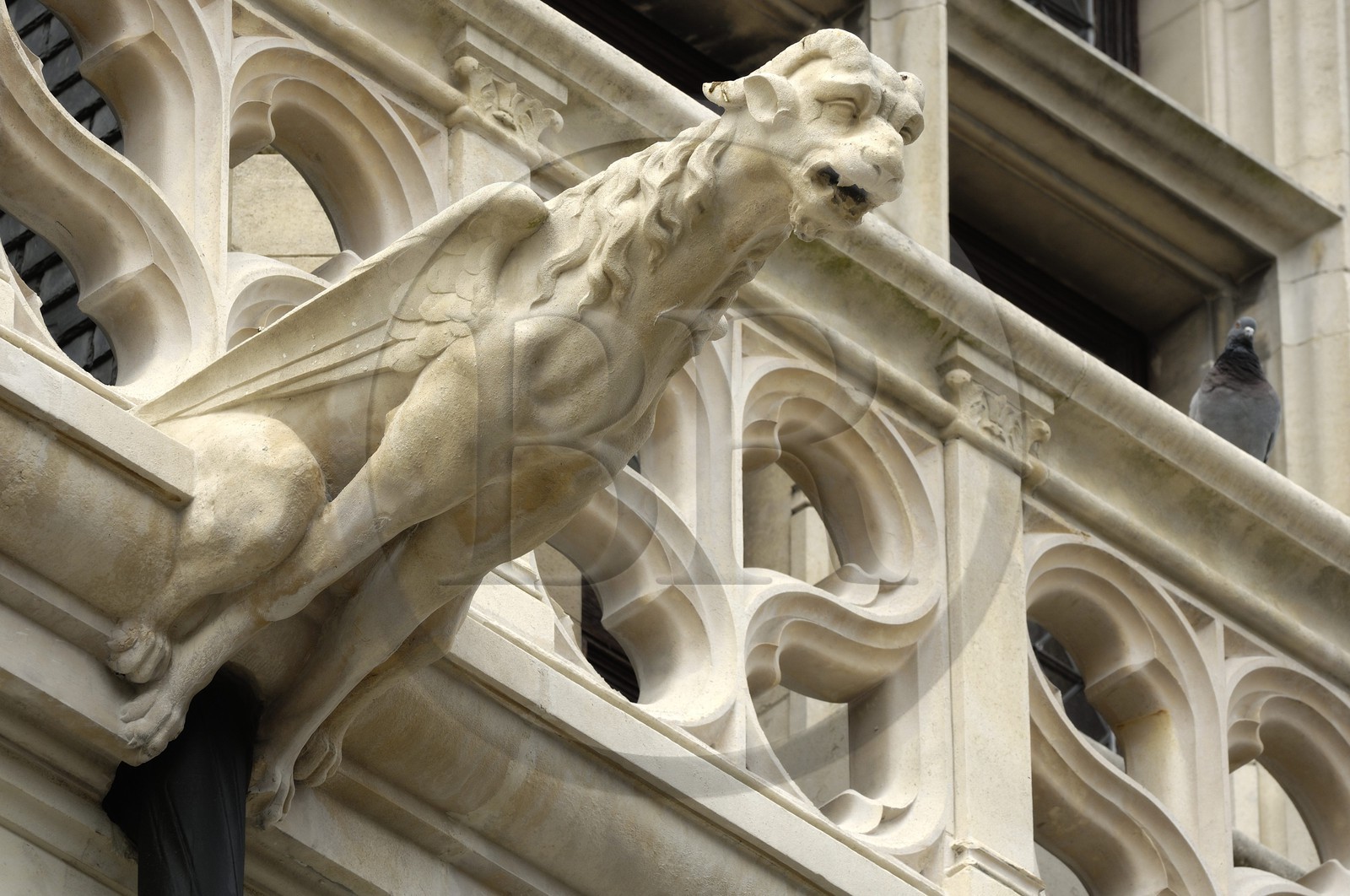 France, Loir et Cher (41), Blois, hôtel d'Alluye rue Saint-Honoré, façade gothico-Renaissance