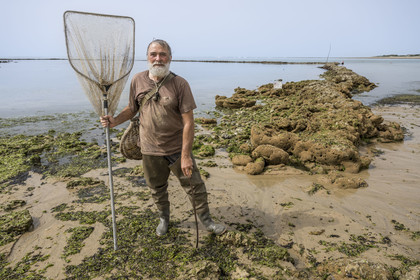 France, Charente Maritime, Oleron island, Saint Georges d'Oléron, Sables Vignier beach at low tide, authorized fisherman at the Basses fish lock