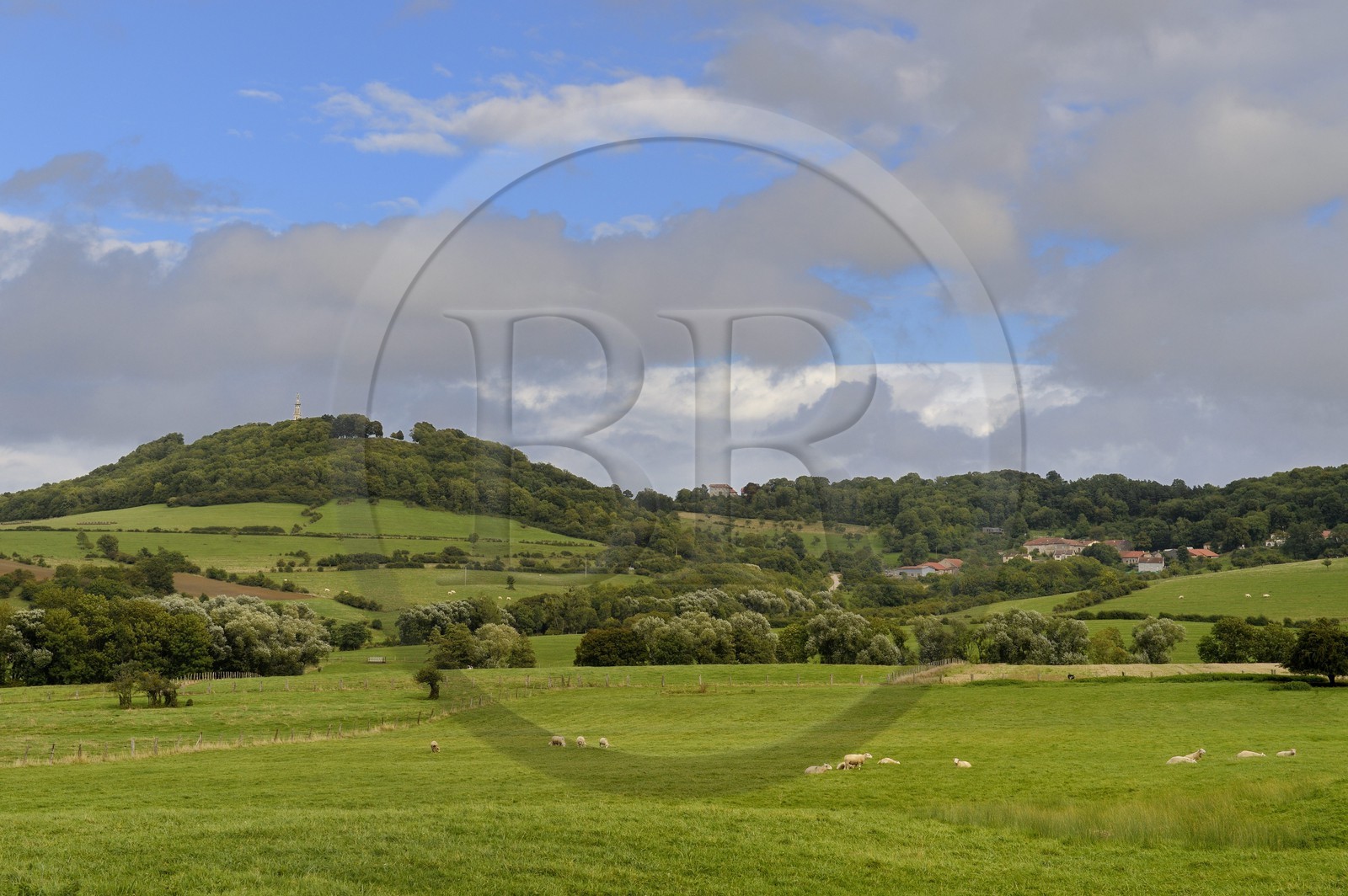 France, Meurthe-et-Moselle (54), pays du Saintois, colline de Sion-Vaudémont, la basilique Notre-Dame de Sion au sommet de la colline