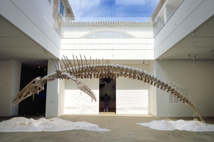 France, Var (83), Iles d'Hyères, parc national de Port Cros, Ile de Porquerolles, la Fondation Carmignac, exposition La Mer imaginaire, The Fall and Rise (2001) oeuvre de Bianca Bondi