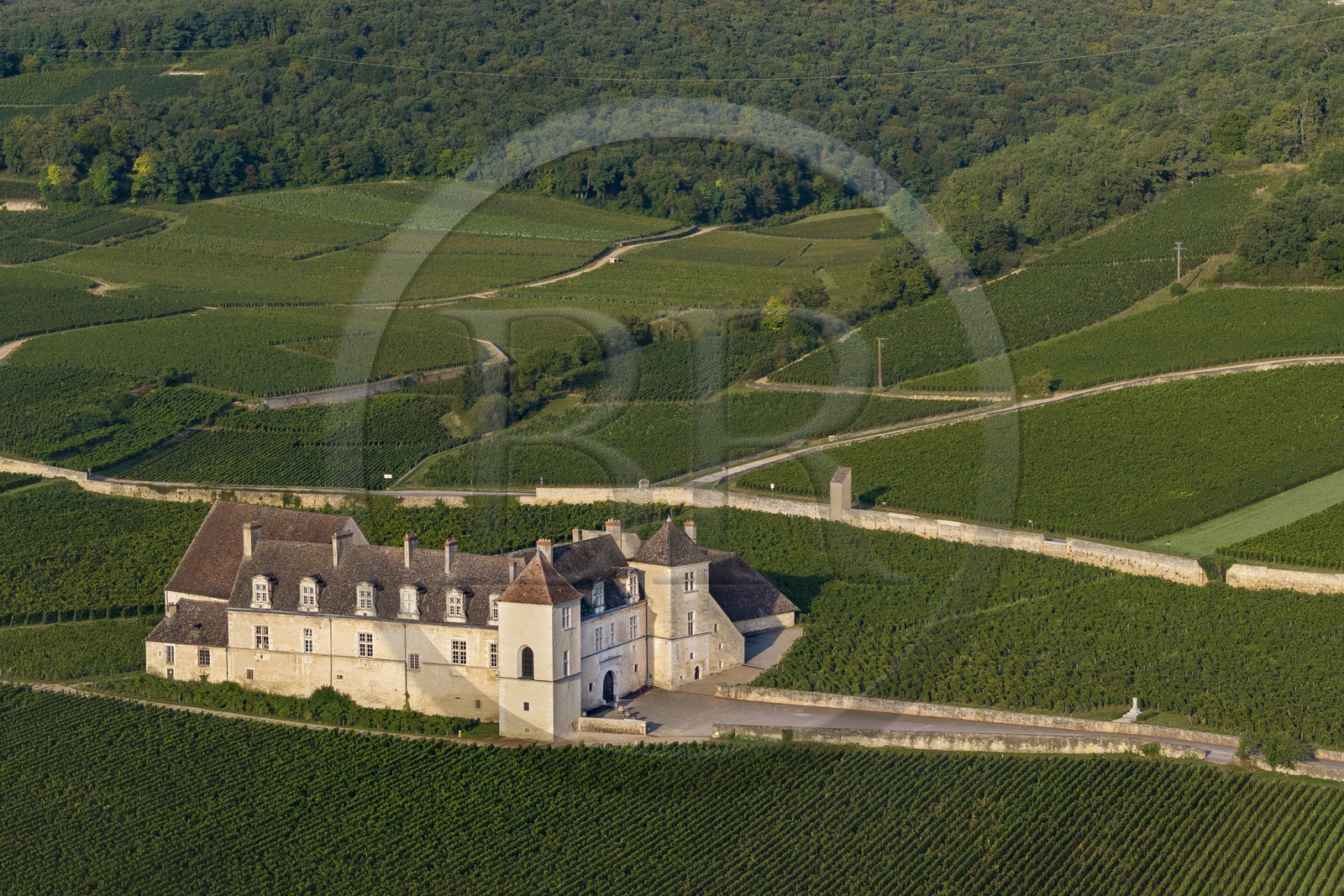 France, Côte-d'Or (21), Paysage culturel des climats de Bourgogne classés Patrimoine Mondial de l'UNESCO, Route des Grands Crus, vignoble de la Côte de Nuits, Vougeot, le Chateau du Clos de Vougeot entouré par le vignoble (vue aérienne)