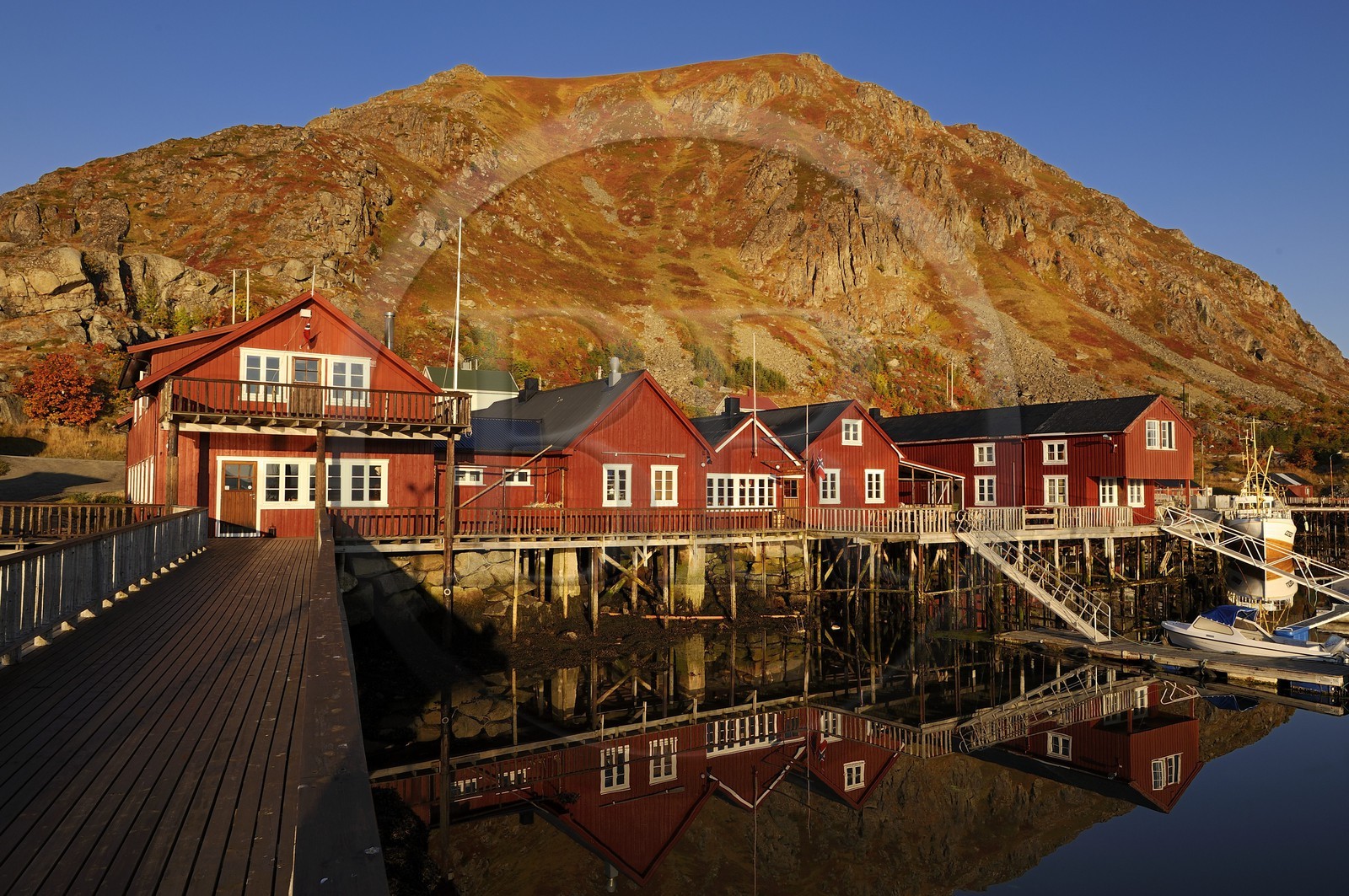 Norvège, Nordland, Iles Lofoten, port de pêche de Ballstad dans l'île de Vestvagoy