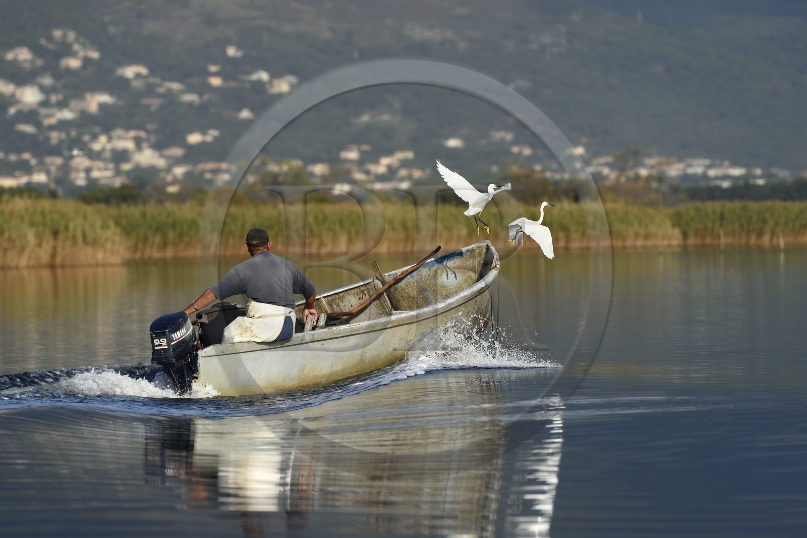 France, Haute-Corse (2B), pecheur en barque sur l'étang de Biguglia (stagnu di Chjurlinu) et Aigrette garzette (Egretta garzetta), réserve naturelle de Corse (RNC)