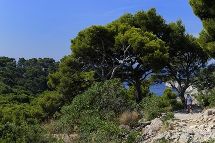 France, Bouches du Rhone, Cassis, peninsula of Port Miou