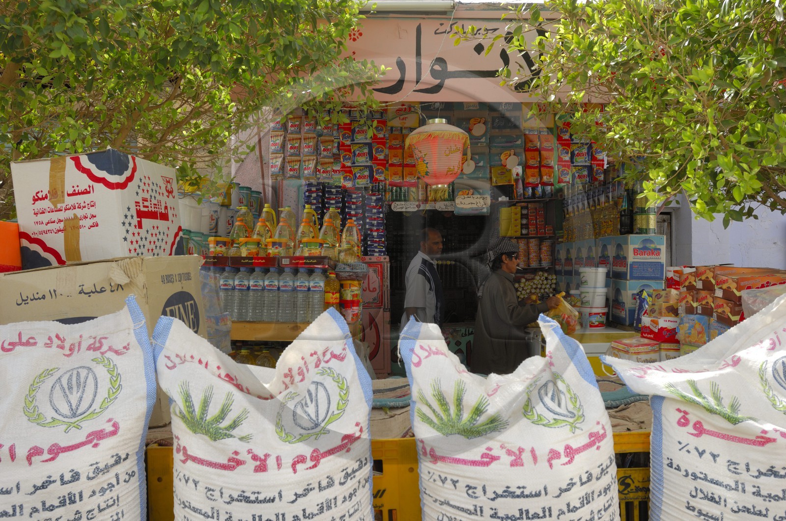 Egypte, désert libyque, ville de Paris (Baris) au sud de Kharga, épicerie