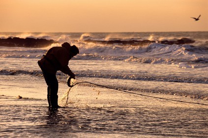 Belgium, West Flanders, Ostend (Oostende), fisherman on foot raising his net on the beach