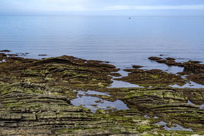 France, Pyrenees Atlantiques, Basque Country coast, Guéthary, the rocky coast, flysch rock