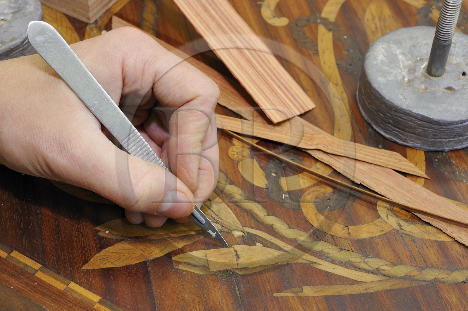 France, Yvelines (78), château de Versailles, ateliers de restauration du château, atelier de menuiserie, Sylvain Molfessis à la marqueterie