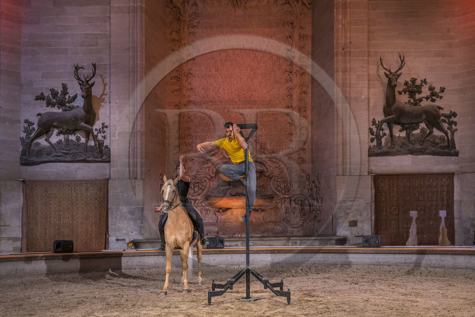 France, Oise, Chantilly, the castle of Chantilly, the Grandes Ecuries, the equestrian show hall under the dome of the former court hunting meeting place, rehearsal of a show between acrobat and horse