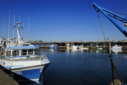 France, Seine-Maritime (76), Dieppe, le port de pêche