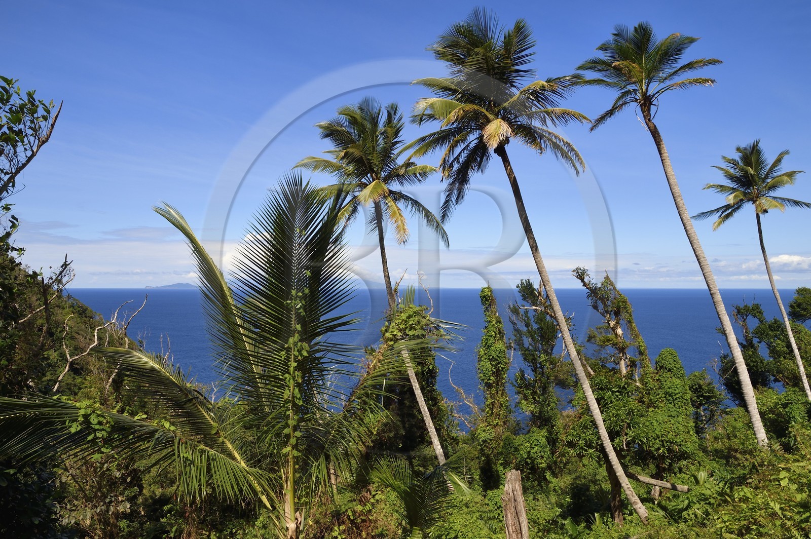 Caraïbes, Ile de la Dominique, paysage sur le segment 13 du Waitukubuli National Trail dans le nord de l'île entre Pennville et Capuchin, les Saintes en Guadeloupe en arrière plan