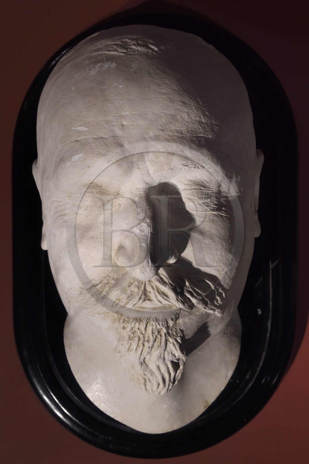 France, Corse du Sud, Ajaccio, Fesch museum (the Museum of Fine Arts), death mask of the Emperor Napoleon III based on the impression taking by Dr. Reggiani