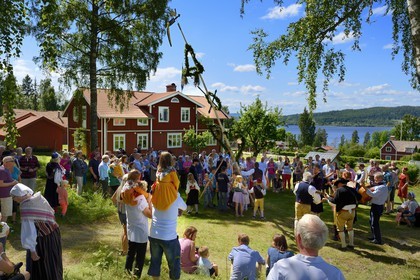 Suède, comté de Dalécarlie, région de Leksand, célébrations du solstice d'été dans le petit hameau de Sunnanäng sur la rive du lac Siljan, levée du mât de l'arbre de mai