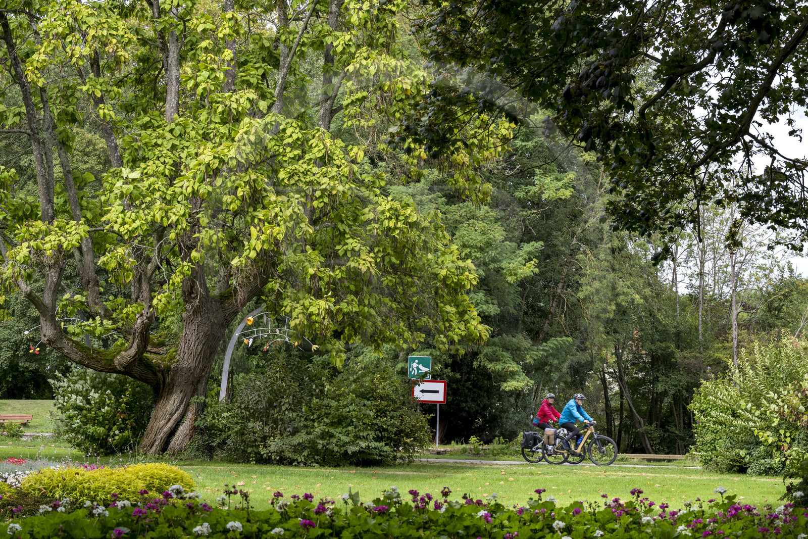 France, Yonne (89), Auxerre, parc paysagé de l'Arbre Sec