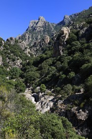 France, Hérault (34), Mons la Trivalle,  les gorges d'Héric dans le massif du Caroux au cœur du Parc naturel régional du Haut-Languedoc, le Mont Caroux au fond
