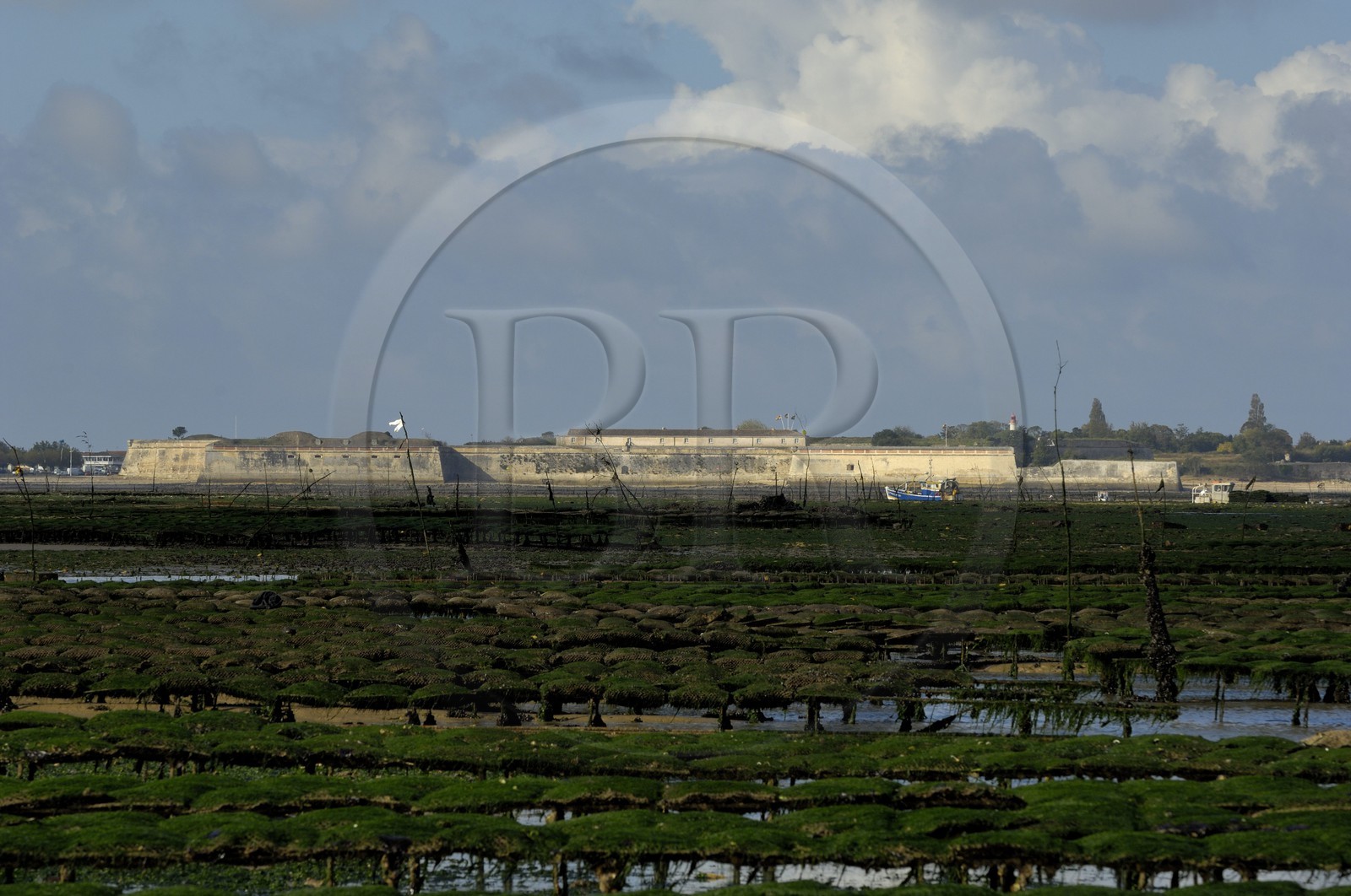 France, Charente-Maritime (17), le bassin Marrennes-Oléron au large du port Le Château d'Oléron, chaland dans les parcs à huîtres