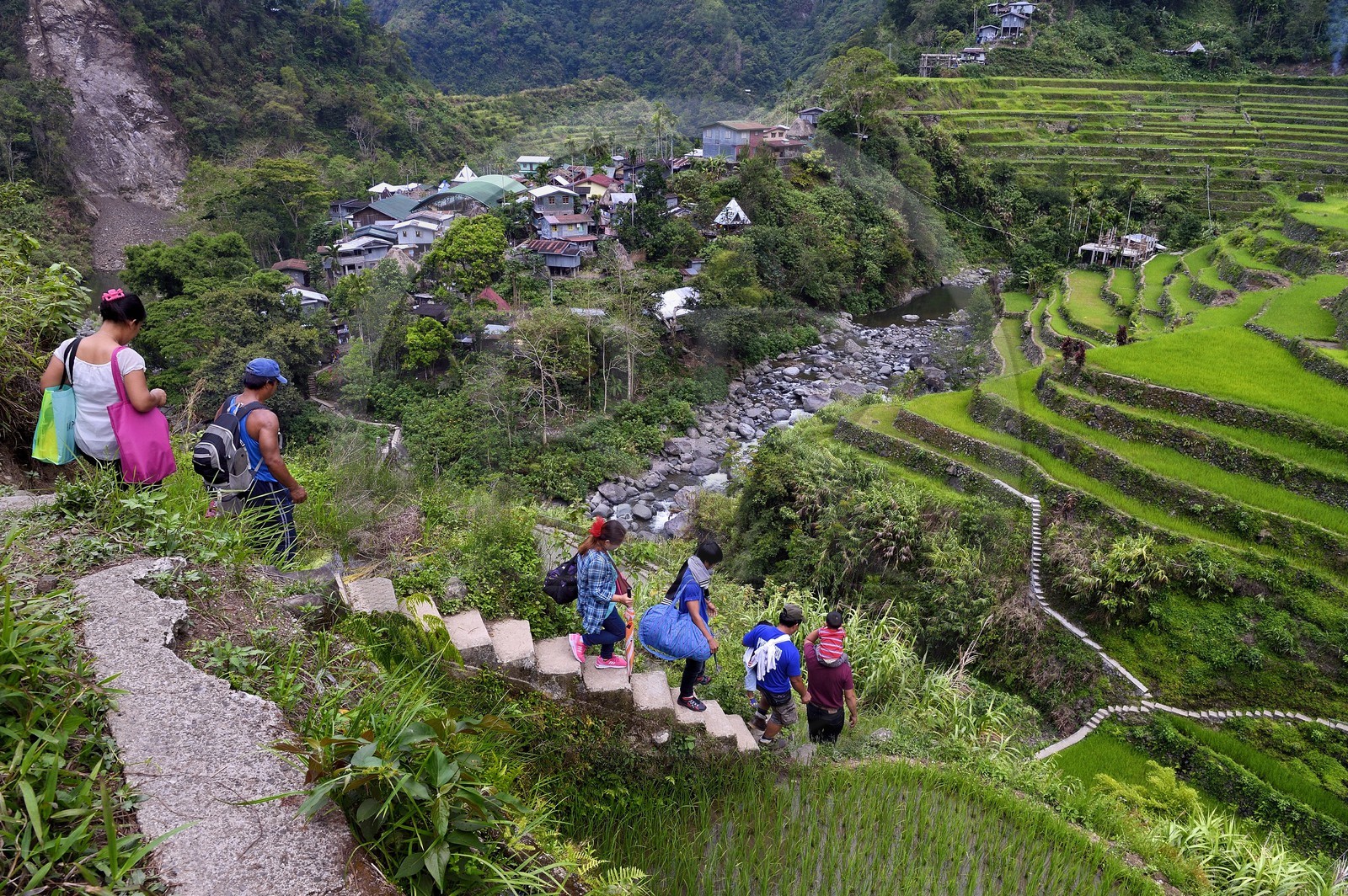 Philippines, province d'Ifugao, les rizières en terrasses de Banaue, classées Patrimoine Mondial de l'UNESCO, une famille rejoint le village de Cambulo