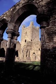Republic of Ireland, Kilkenny county, Jerpoint abbey