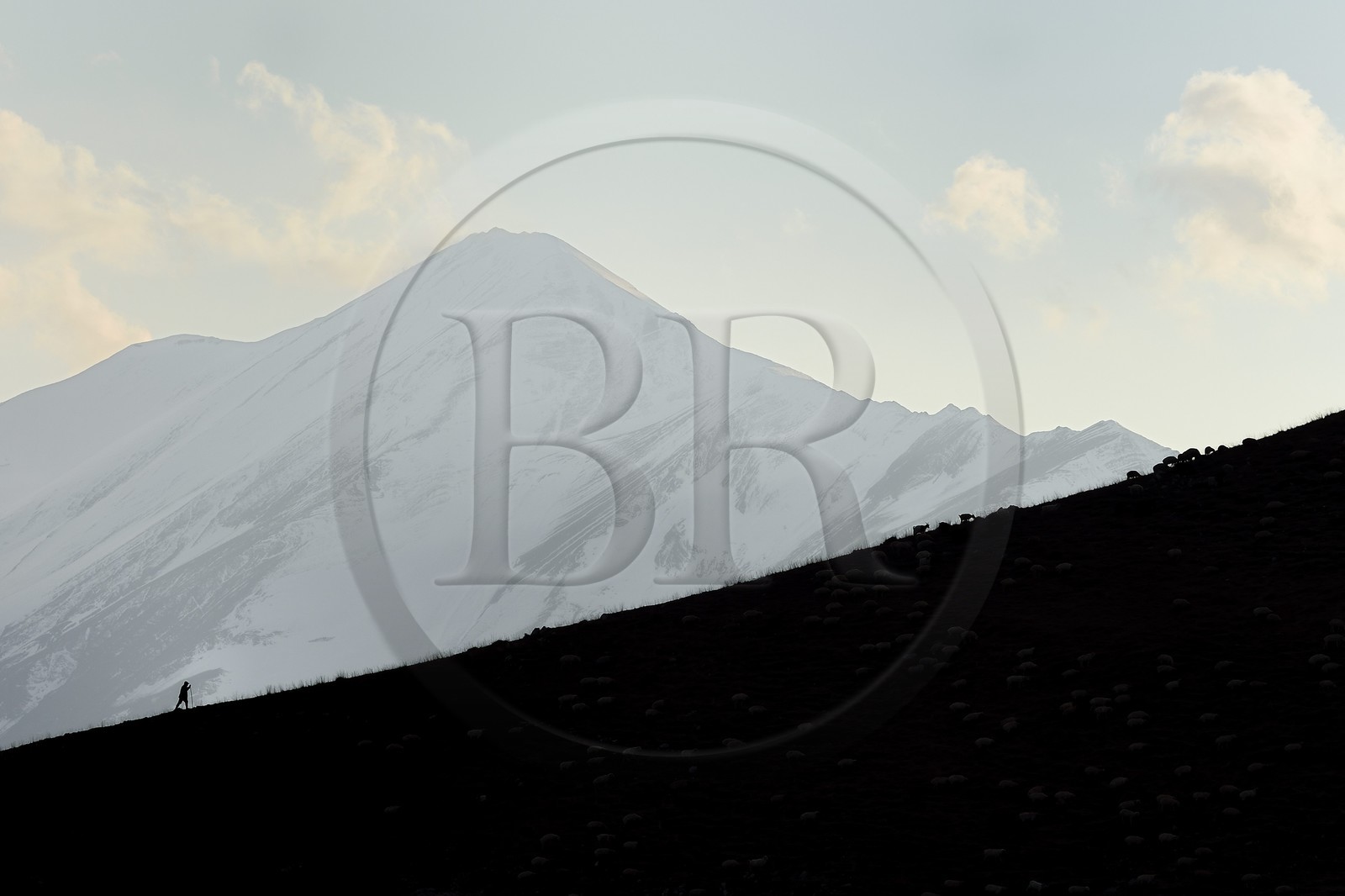 Azerbaïdjan, région de Quba (Guba), chaine de montagne du Grand Caucase, randonnée entre le village de Qalaxudat et de Giriz, berger et son troupeau de moutons