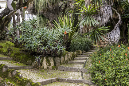 Portugal, Lisbonne, Jardin botanique de Lisbonne