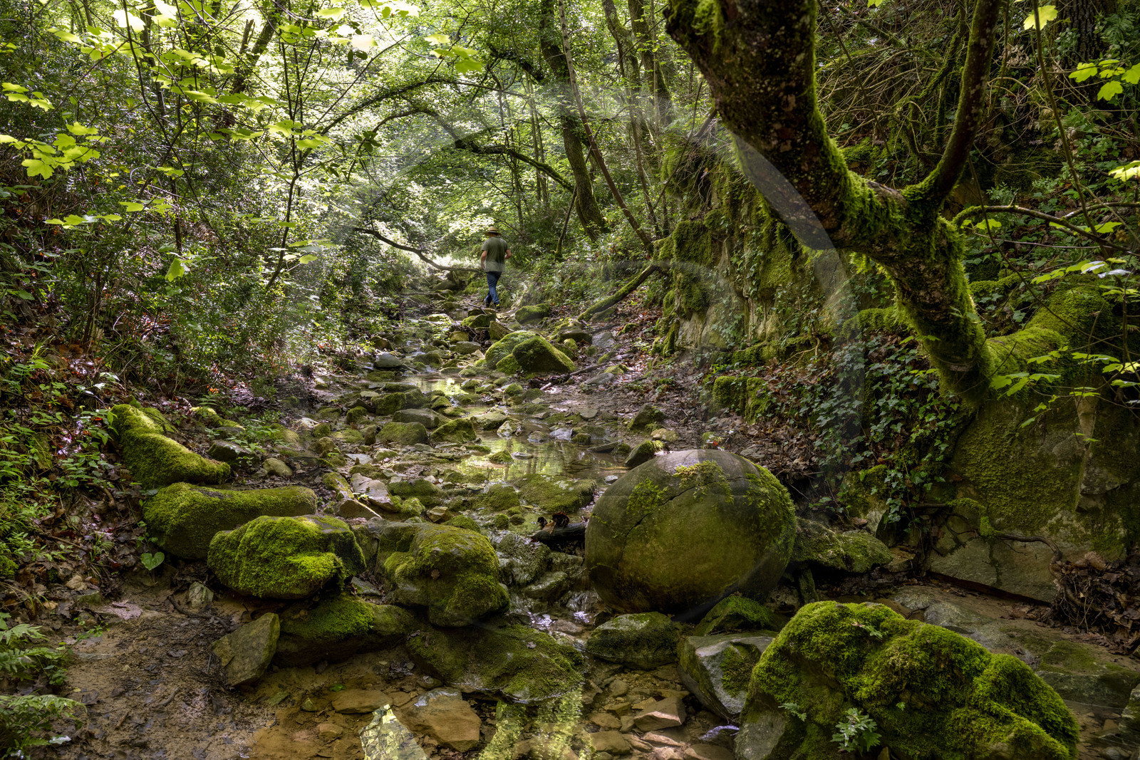 France, Vaucluse (84), Dentelles de Montmirail, Sablet, randonneur traversant la rivière le Trignon dans le vallon de Prébayon