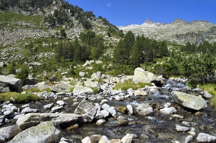 France, Hautes-Pyrénées (65), Saint-Lary-Soulan, Réserve naturelle nationale du Néouvielle, randonnée des lacs du Neouvielle, torrent au dessus des Laquettes