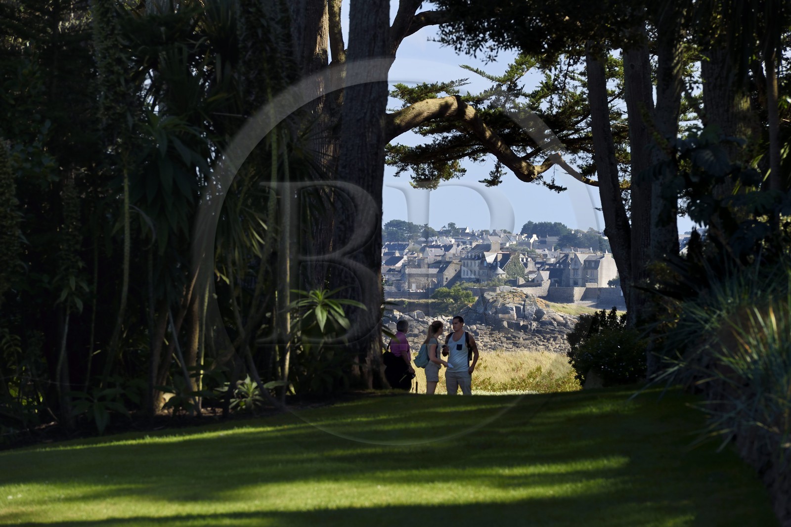 France, Finistere, Ile de Batz, Georges Delaselle Garden or colonial garden, an exotic garden with a unique botanical collection from the five continents, city of Roscoff in the background