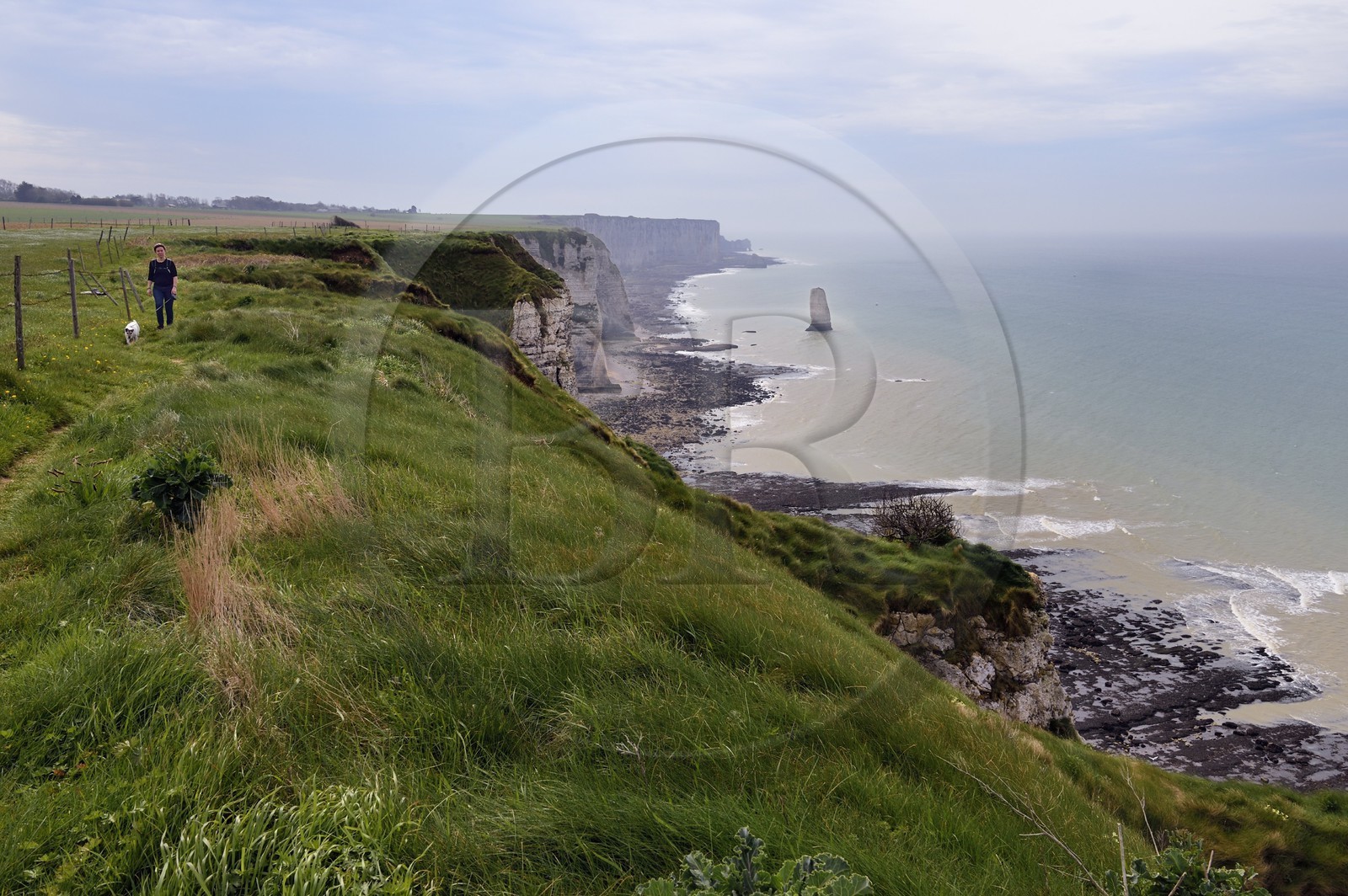 France, Seine-Maritime, Pays de Caux, Alabaster Coast (Cote d'Albatre), hiker on the GR 21 between Etretat and Yport, Aiguille (Needle) of Belval and cliff at low tide