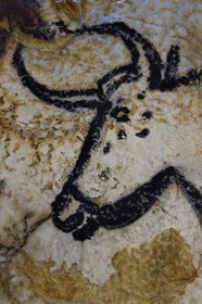 France, Dordogne (24), Montignac, l’Atelier des Fac-Similés du Périgord (AFSP) spécialisé dans la reproduction minérale de parois ornées de la préhistoire et en charge de la reconstitution fidèle des parois de la grotte de Lascaux, Aurochs, mention obligatoire Atelier des Fac-Similés du Périgord