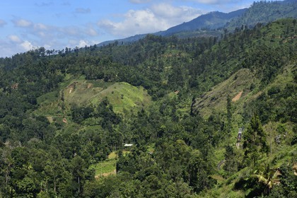 Sri Lanka, Uva Province, train on the railway track that goes through the tea growing hill country next to Ella (Badulla district)