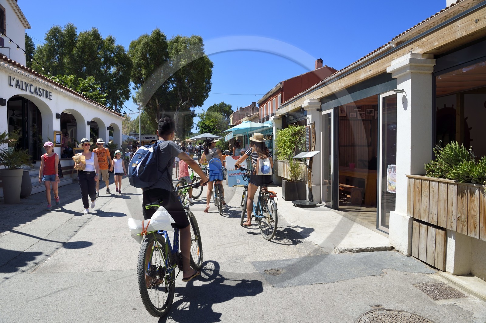 France, Var, Iles d'Hyeres, Parc National de Port Cros (National park of Port Cros), Porquerolles island, Porquerolles village, restaurant terraces in the main street