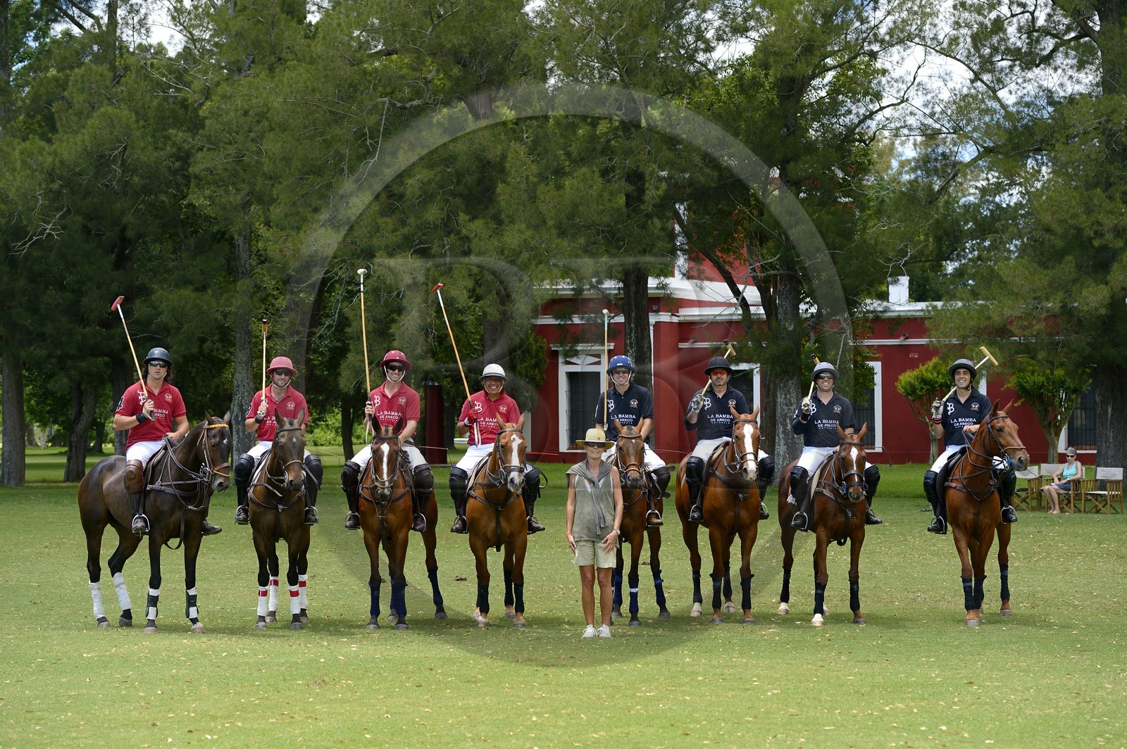 Argentina, Buenos Aires Province, San Antonio de Areco, estancia La Bamba de Areco, polo match