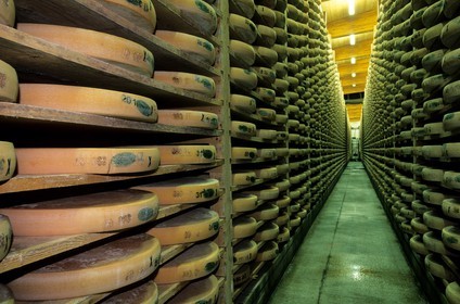 France, Doubs, Fort Saint Antoine, Comte mountain cheese maturing cellar