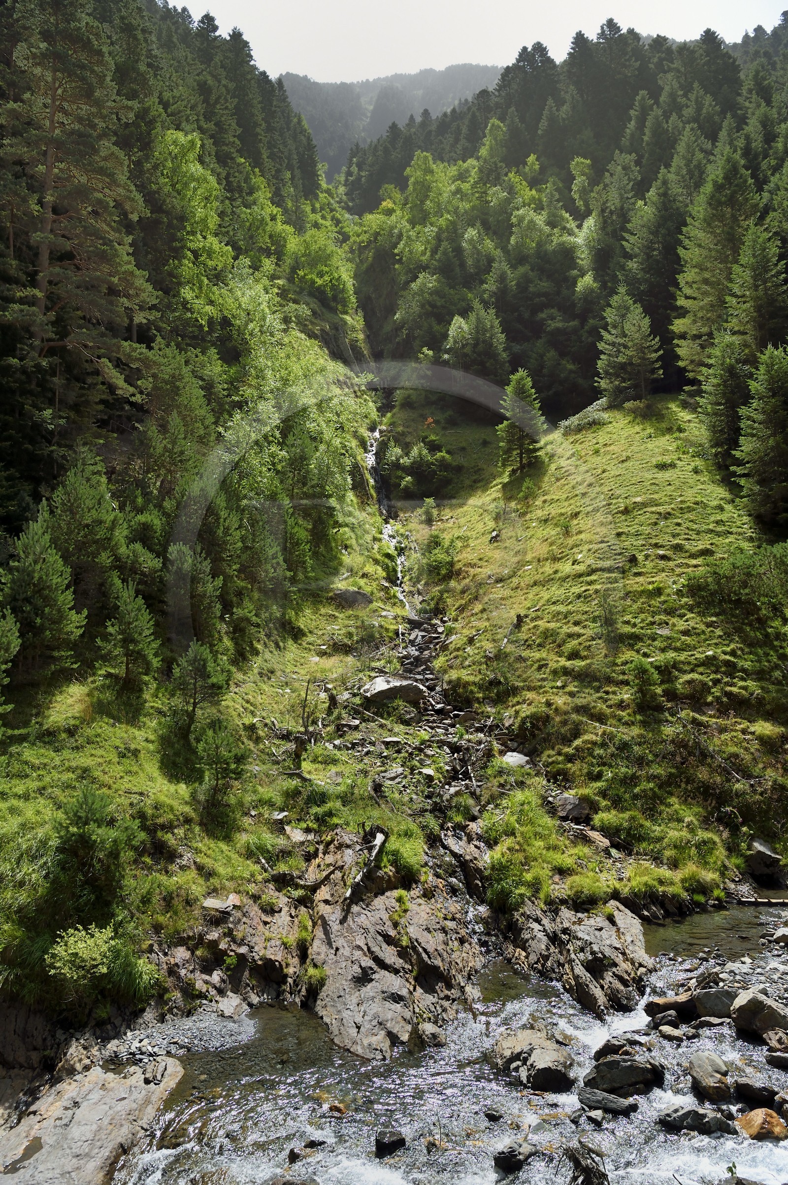France, Hautes-Pyrénées (65), Saint-Lary-Soulan, vallée du Rioumajou, affluent de la (rivière) Neste de Rioumajou