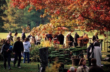 France, Essonne (91), château de Courson, 2 fois par an a lieu une ìgrande journée des plantes